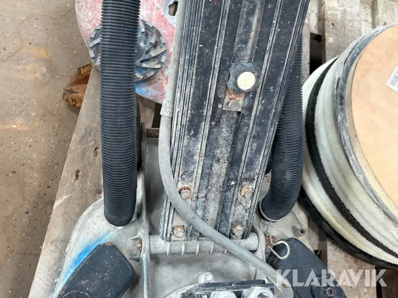 Billede 7 - Raimondi