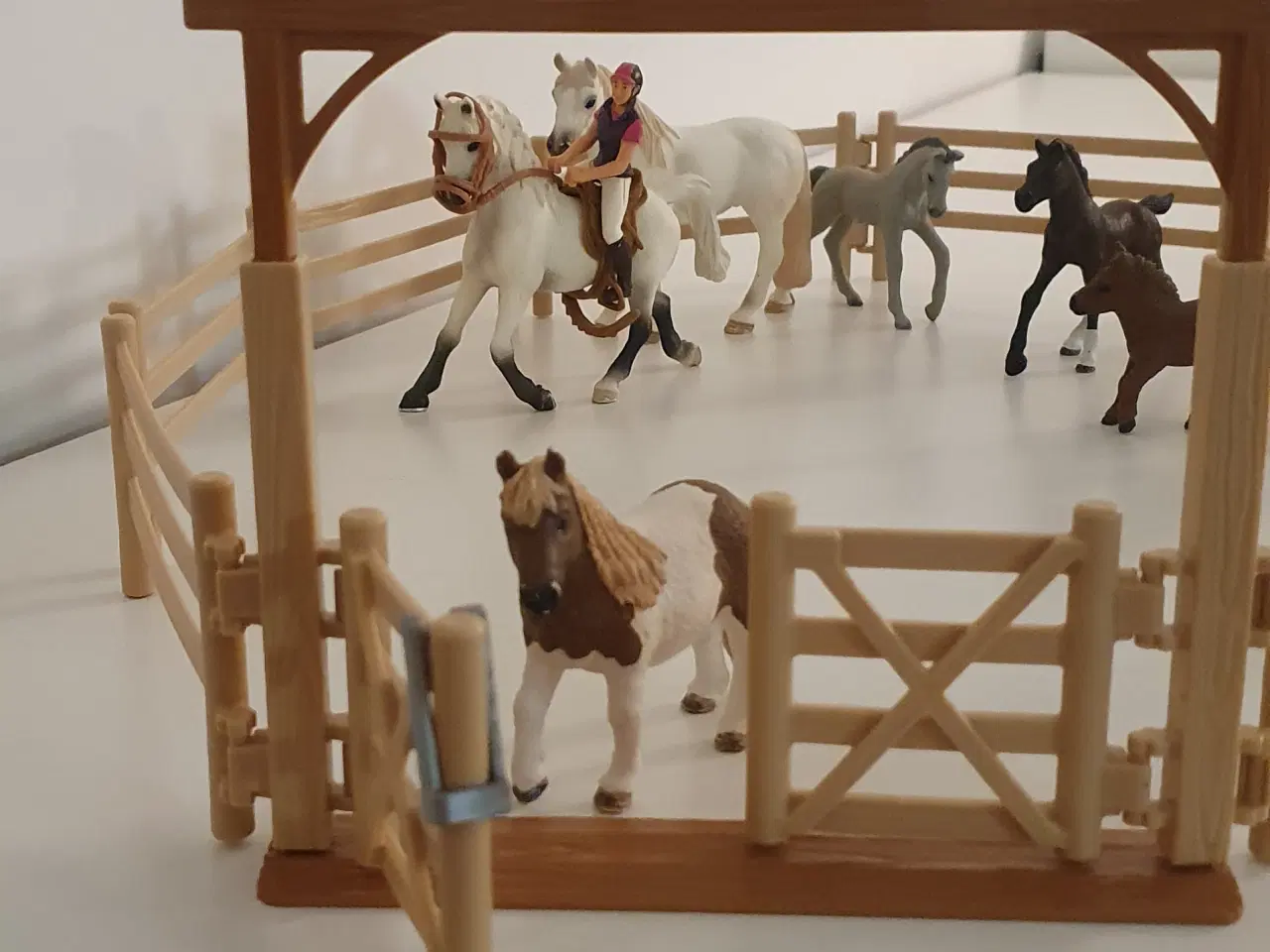 Billede 2 - Schleich hestehegn, 6 heste, 1 rytter.