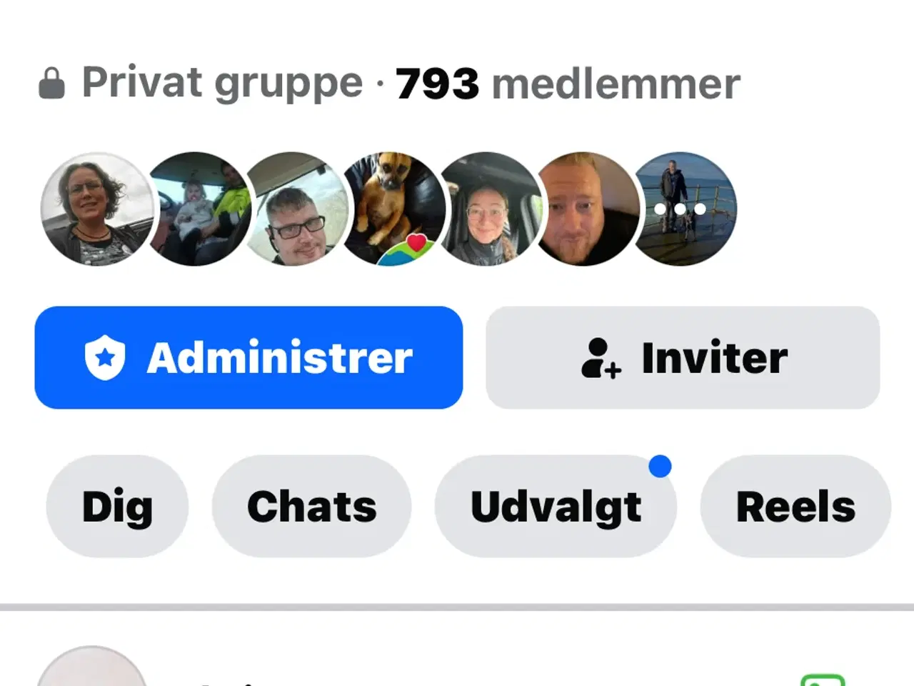 Billede 13 - Knabstrupper ung heste