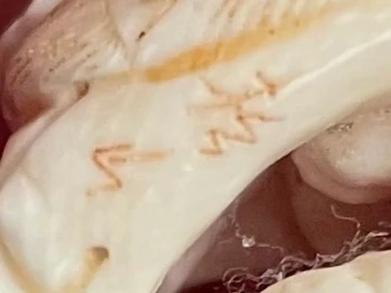 Billede 11 - Japanske elfenbensfigurer, signeret Masayuki (Meij