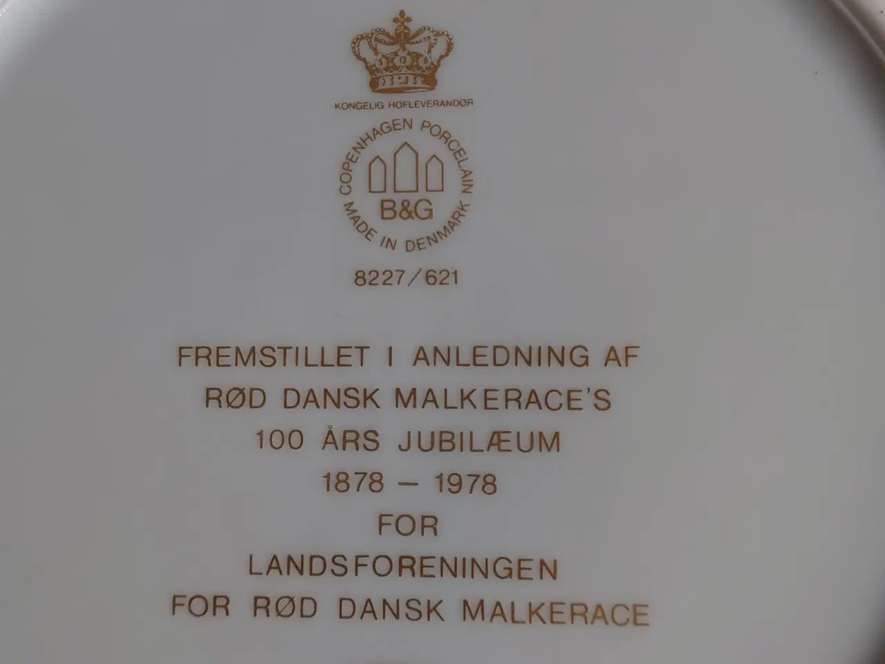 Billede 2 - Rød dansk malke race.