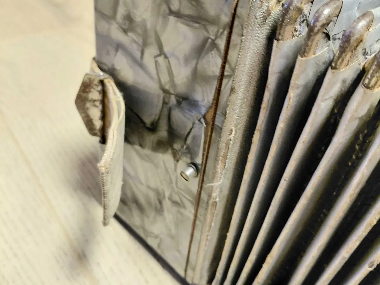 Billede 6 - Harmonika ASTRORIA