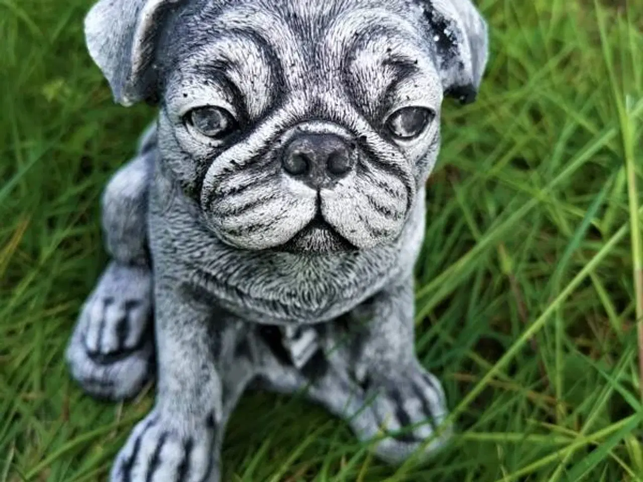 Billede 9 - HAVEFIGUR Smukke betonhunde – forskellige racer 🐾
