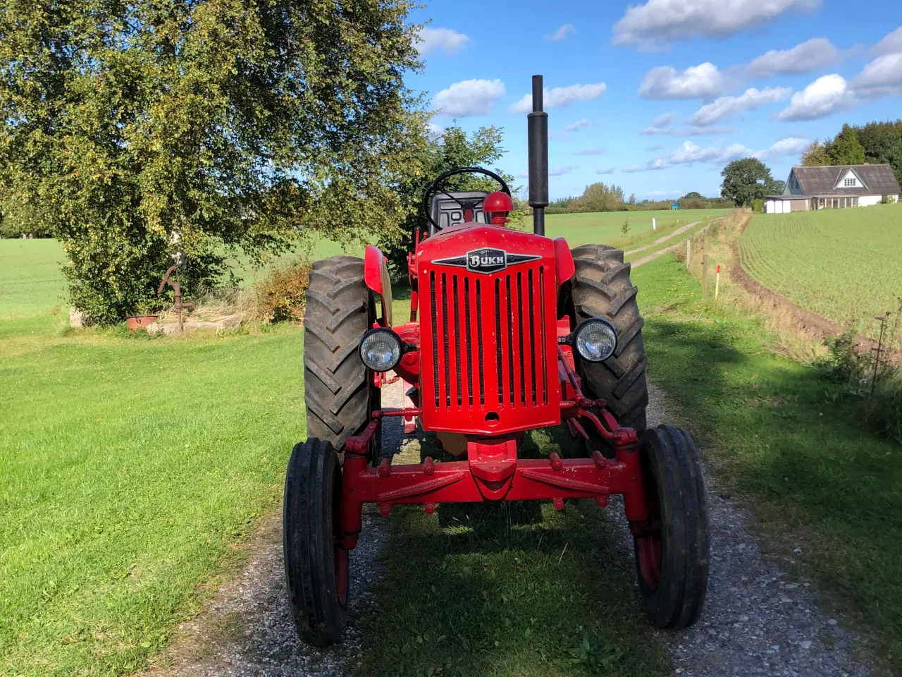 Billede 1 - Bukh traktor DZ30 årg. 1956