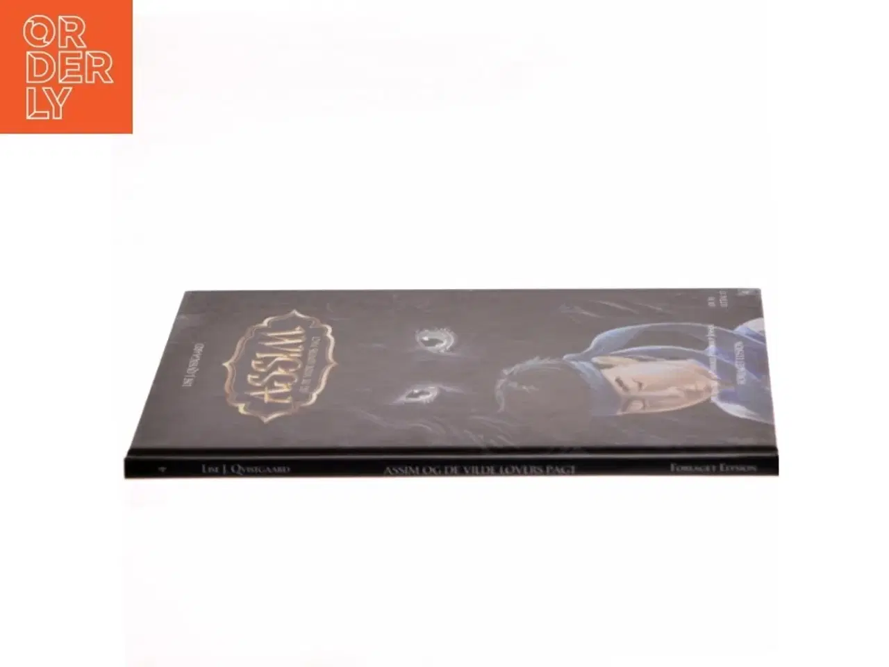 Billede 2 - Assim og de vilde løvers pagt Assim serien bog 4 af Lise J. Qvistgaard (Bog)