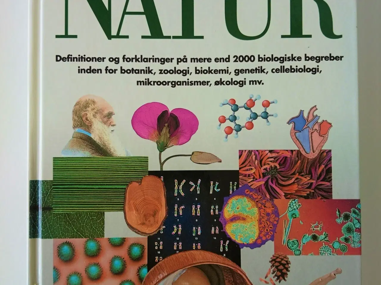 Billede 1 - Natur - Politikens visuelle håndbog