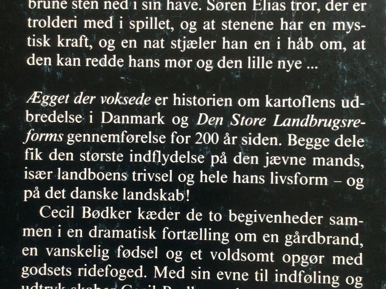 Billede 2 - Cecil Bødker : Ægget der voksede