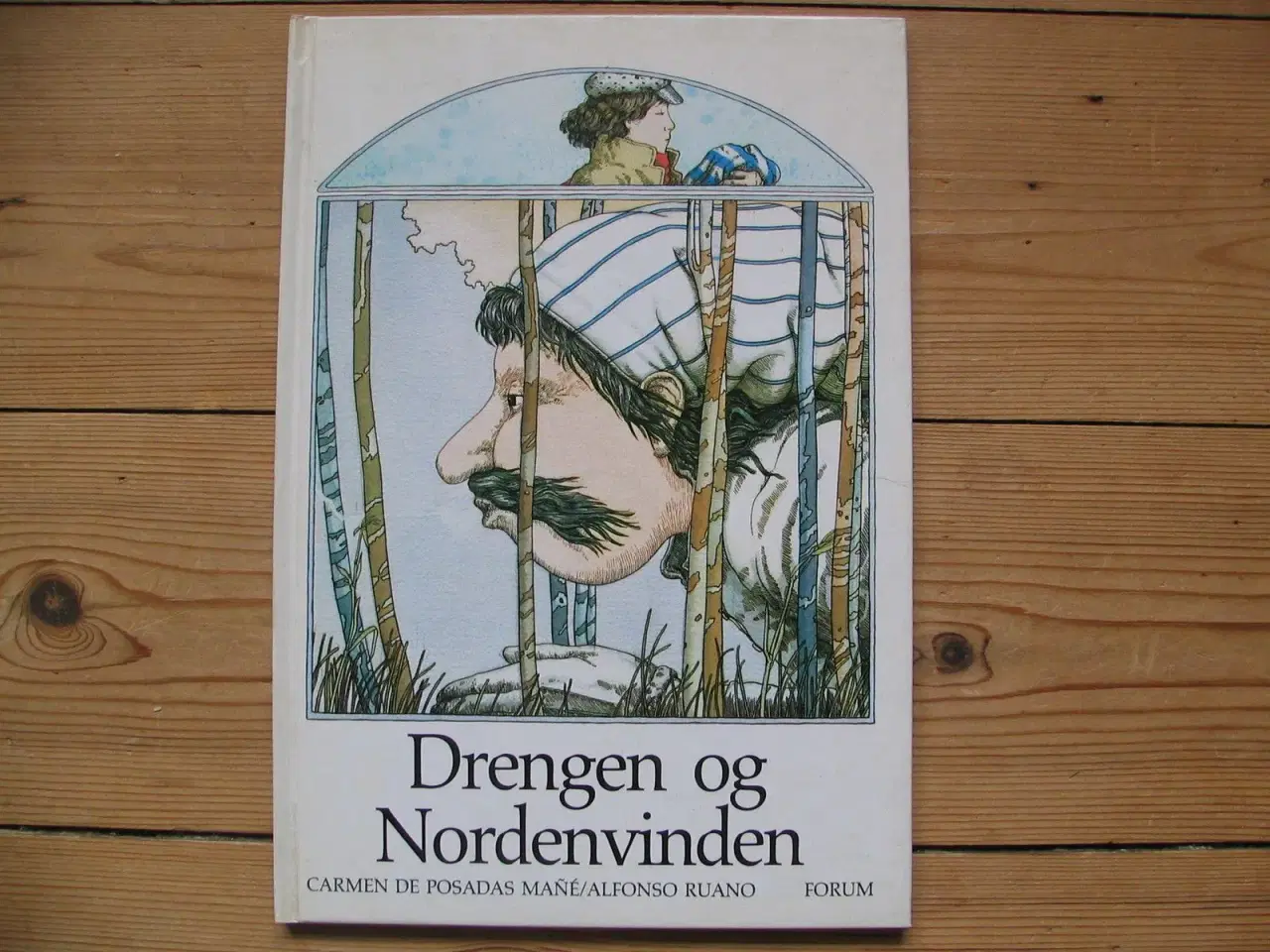 Billede 1 - Drengen og Nordenvinden