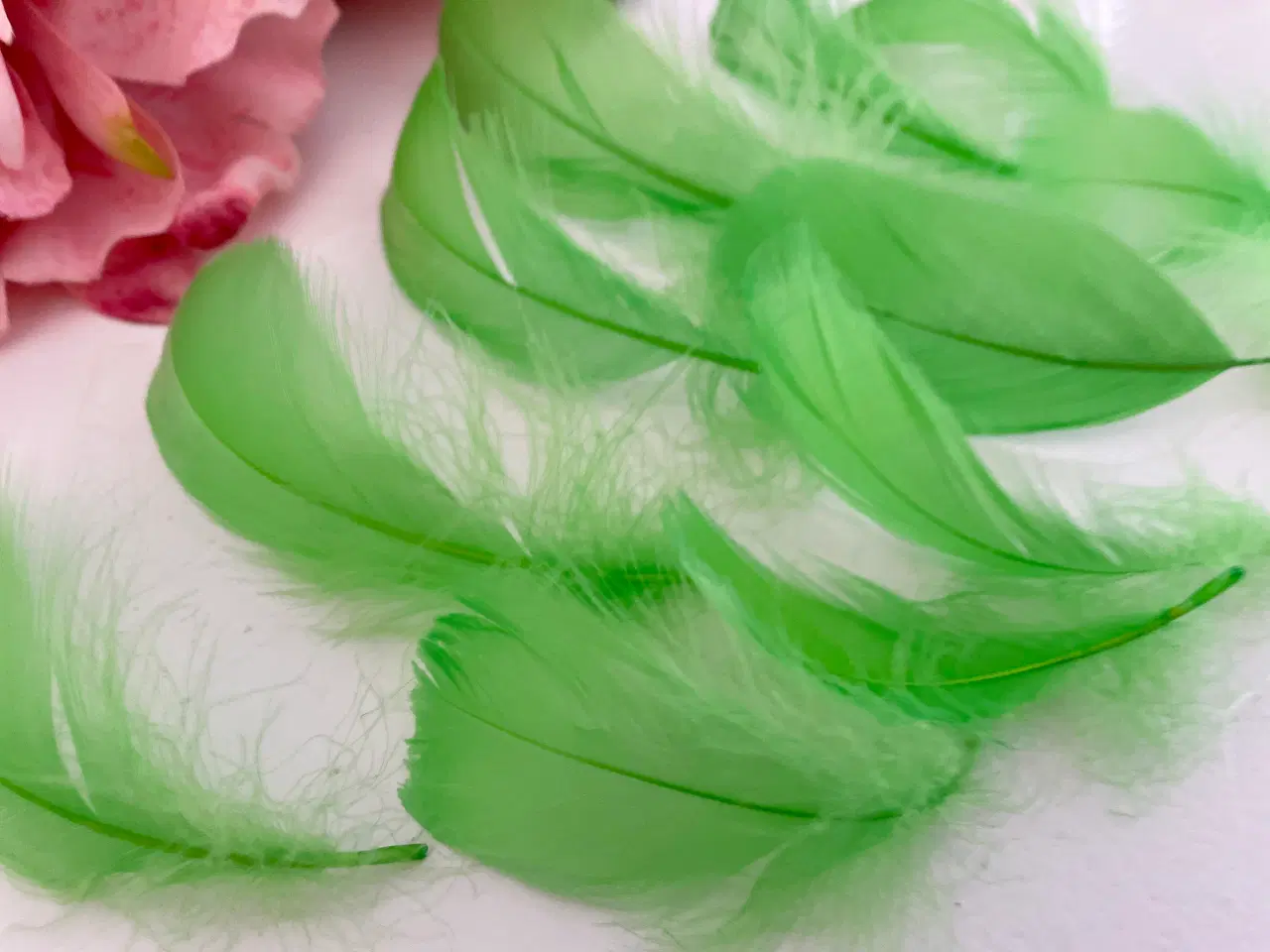 Billede 1 - Lysegrønne fjer til dekoration