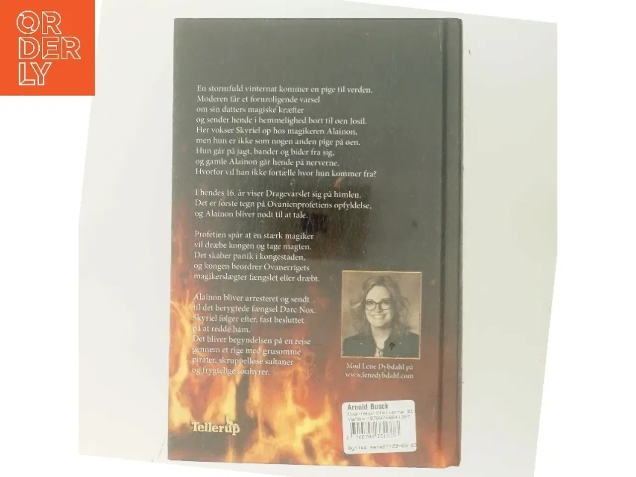 Billede 3 - Skyriel af Lene Dybdahl (Bog)