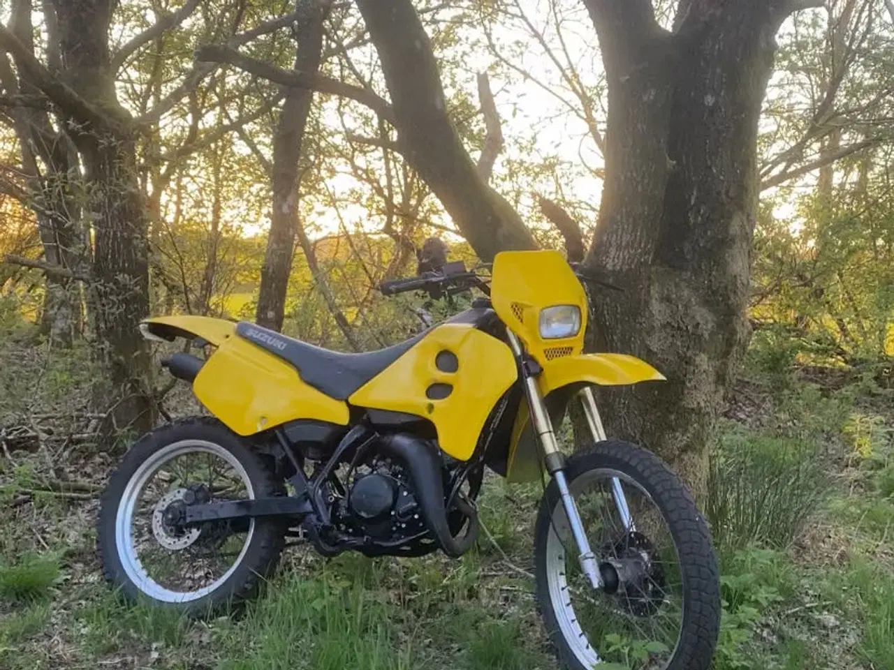 Billede 3 - Suzuki rmx 50