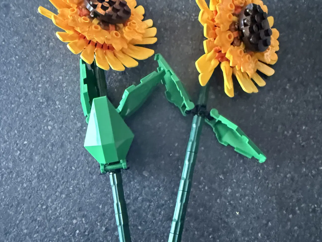 Billede 2 - Botanical Collection wildflower