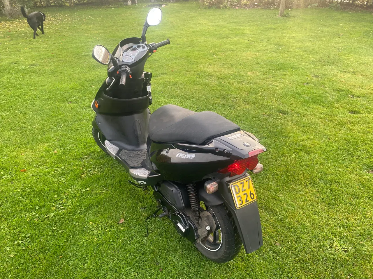 Billede 2 - PGO DR. BIG