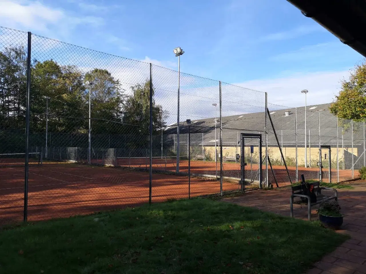 Billede 18 - Tenniskursus for begyndere!! Vejgaard. Øgade.
