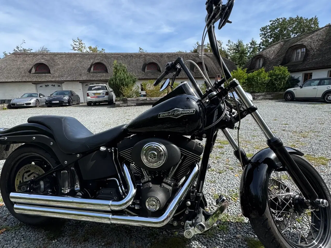Billede 1 - Harley - Night Train