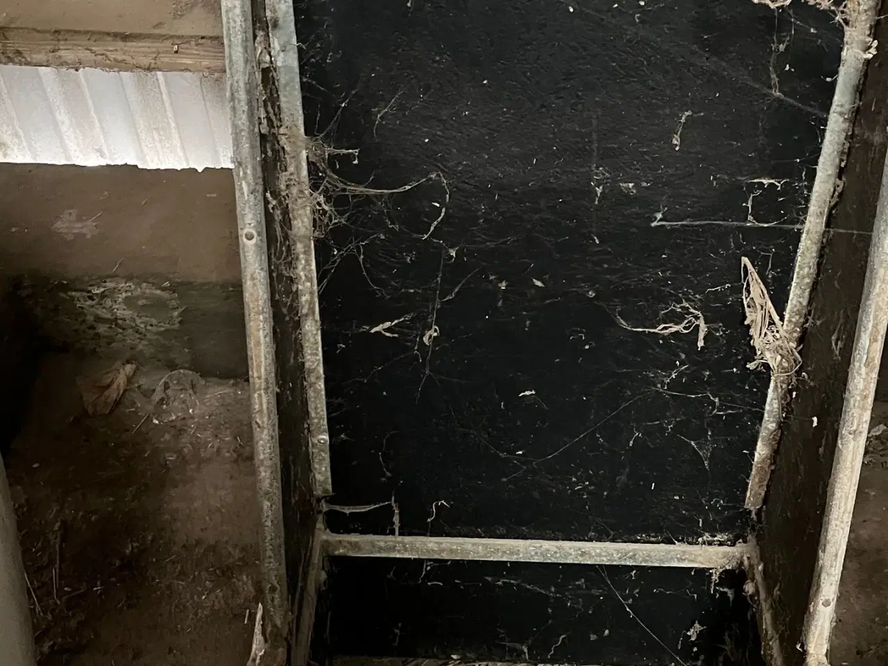 Billede 5 - - - - til kvæg