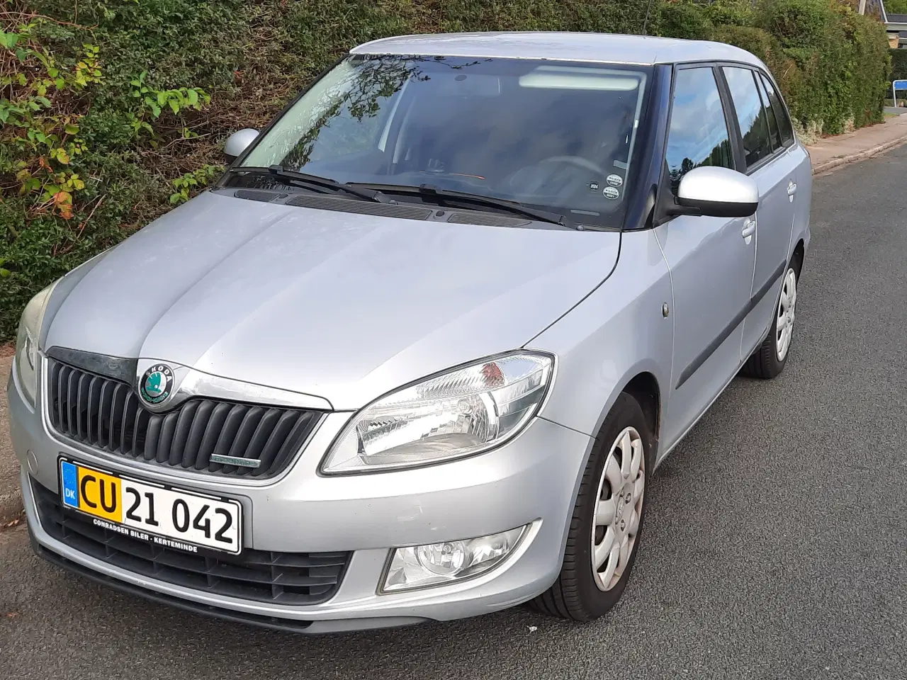 Billede 1 - Skoda Greenline