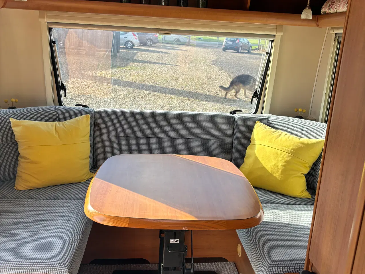 Billede 8 - Fendt Bianco 465 TG