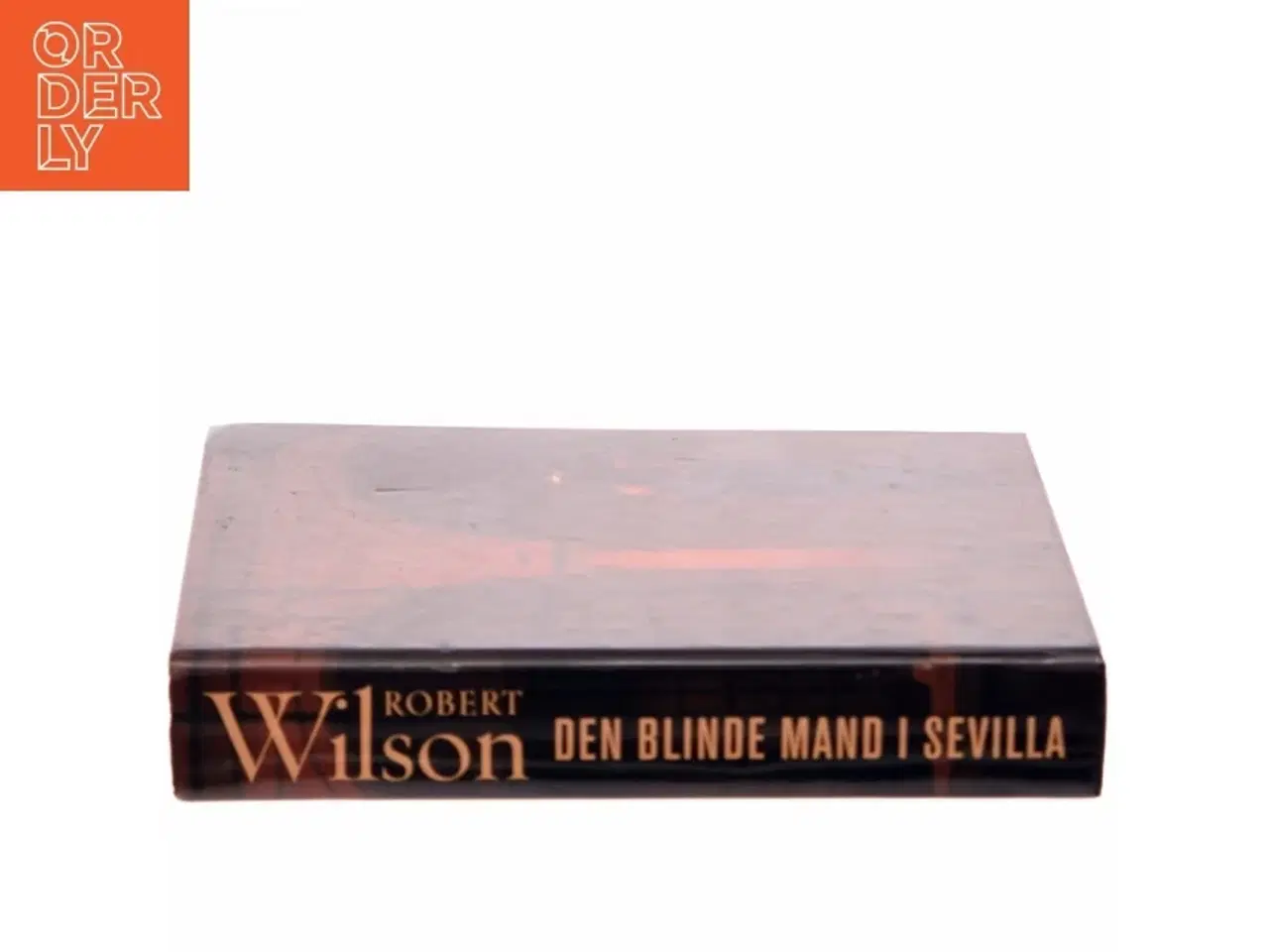 Billede 2 - Den Blinde Mand i Sevilla af Robert Wilson