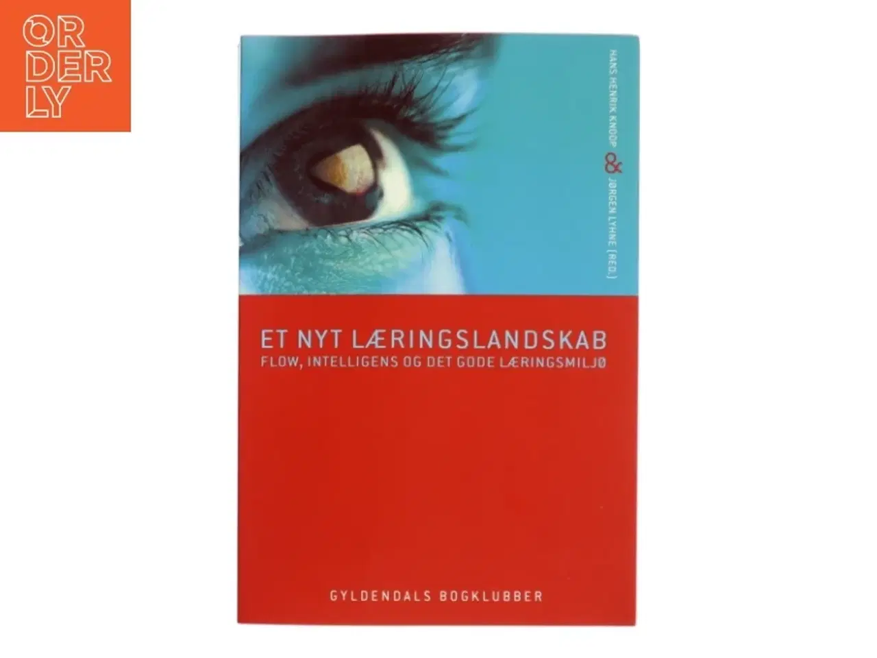 Billede 1 - Et nyt læringslandskab : flow, intelligens og det gode læringsmiljø (Bog)