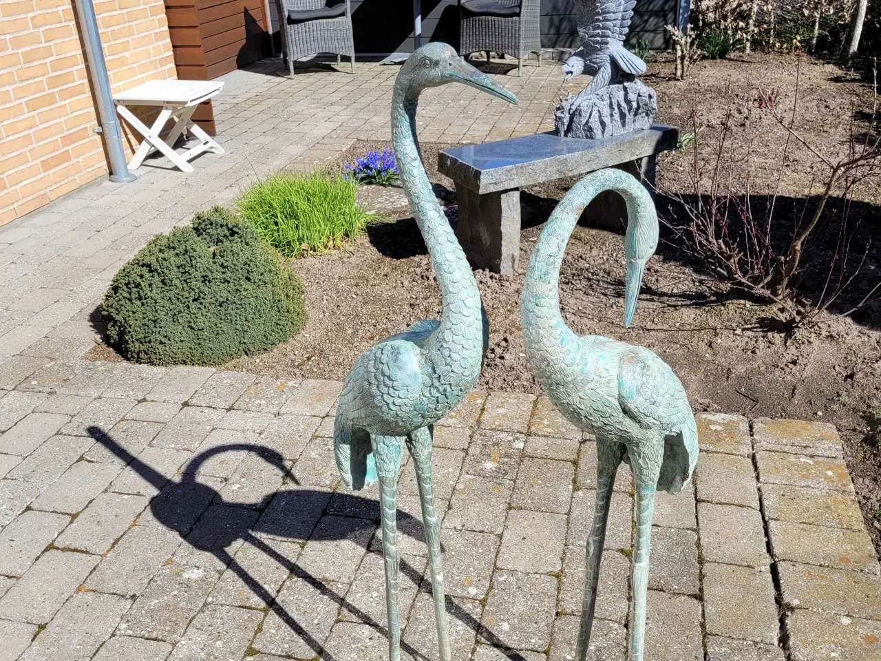 Billede 1 - Grønirret Tranepar