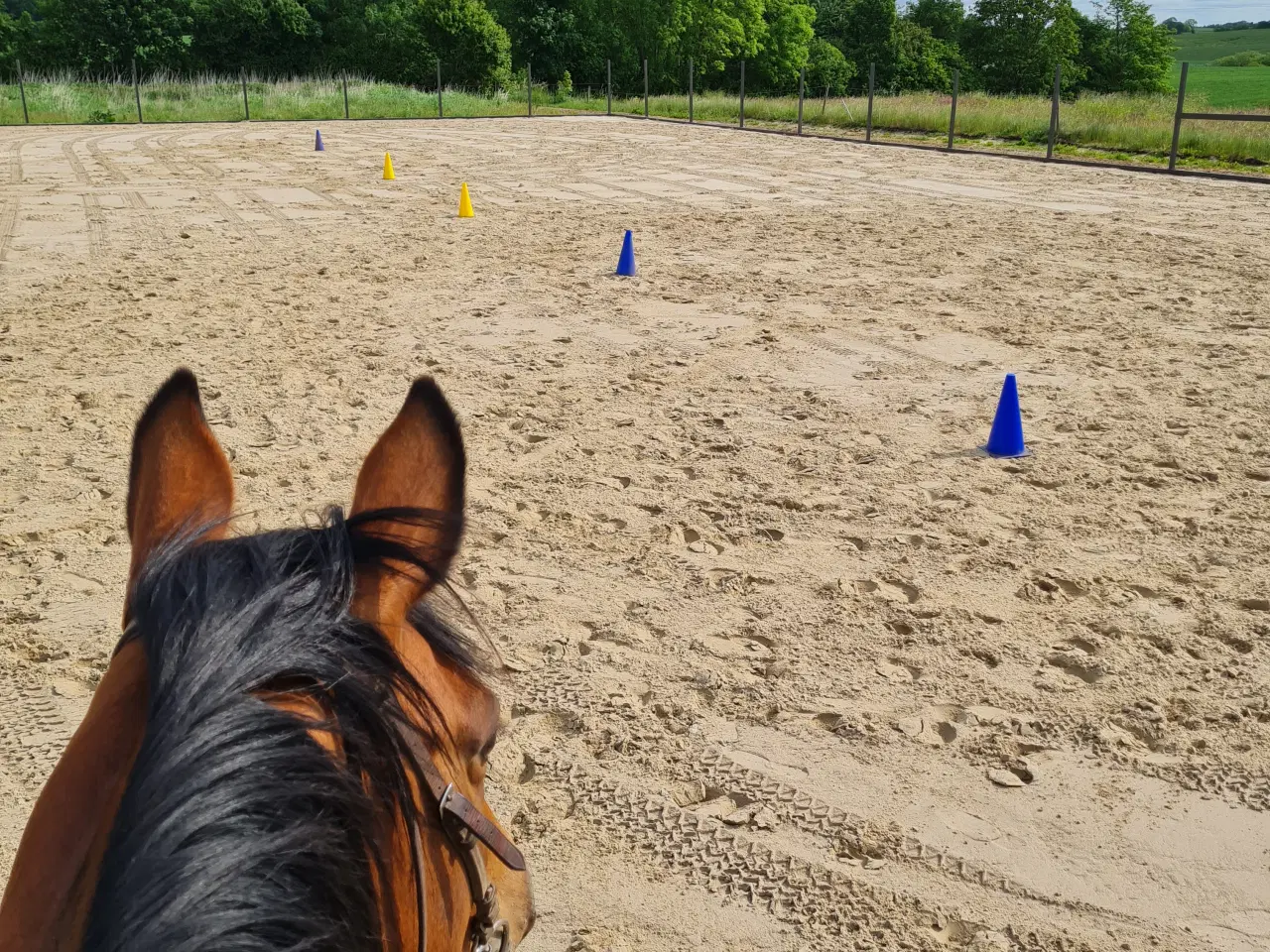 Billede 1 - Opstaldning 7160 Tørring