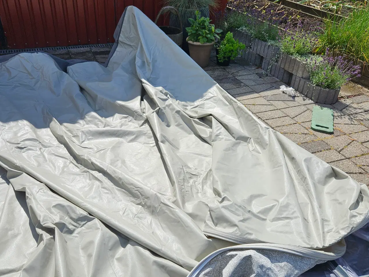 Billede 11 - Isabella fortelt  Commodore Dawn 