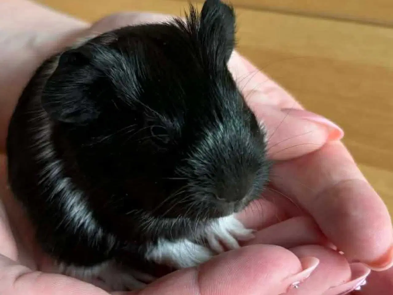 Billede 5 - Mor med 3 unger 