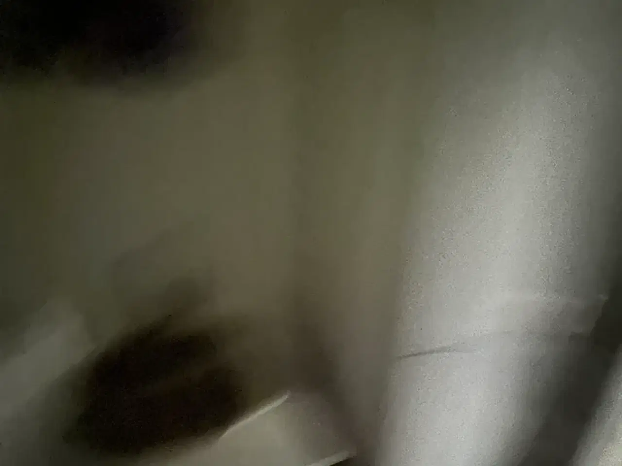 Billede 8 - Trailer/mandskabsvogn VARIANT VA 1301