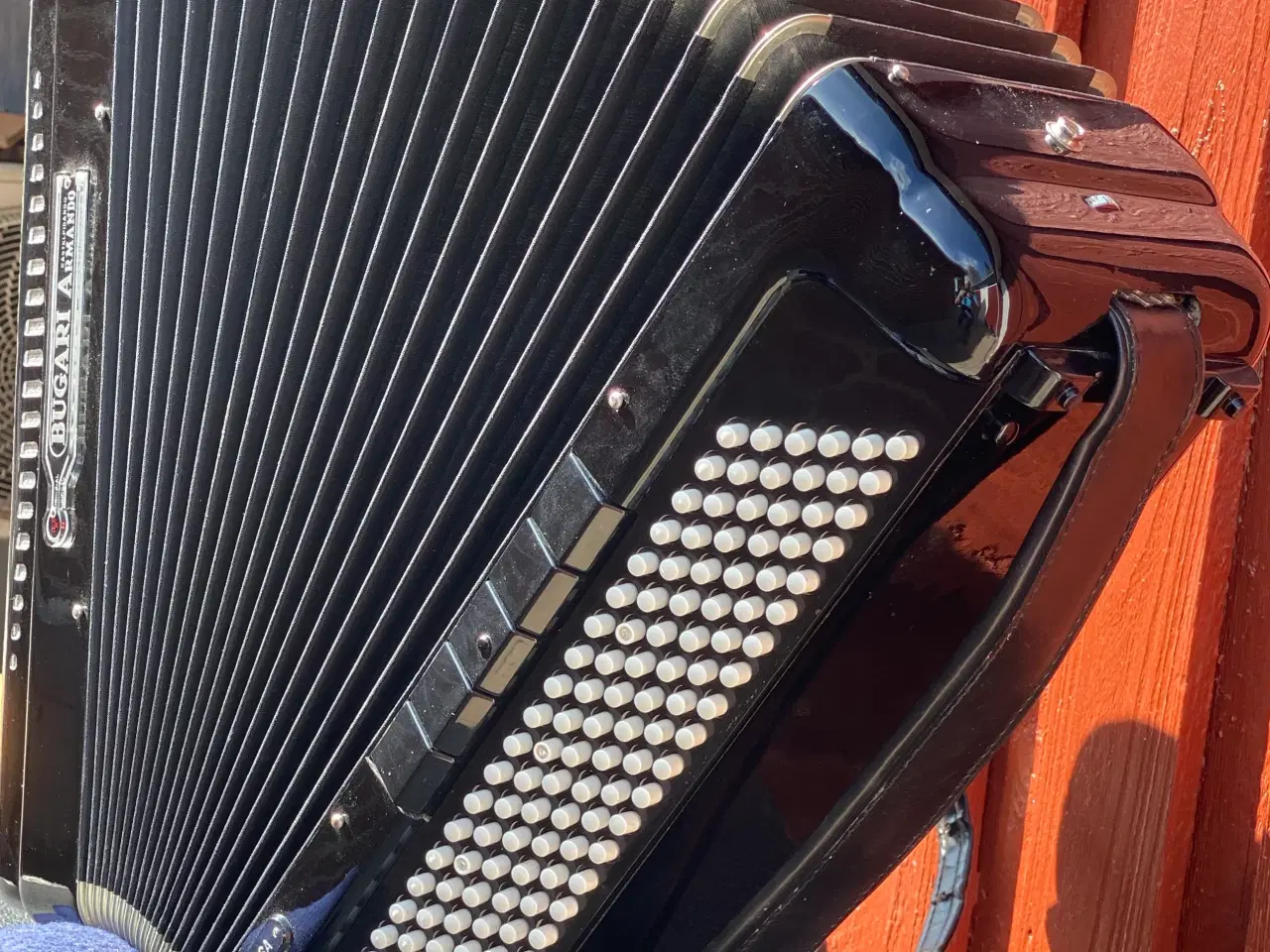 Billede 9 - Bugari Armando Seniorfisa Special – Topklasse knap