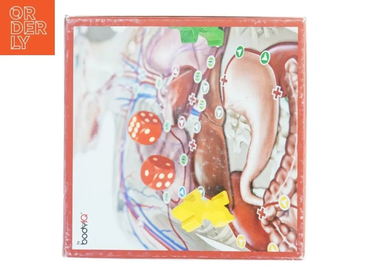 Billede 3 - Brætspil &#39;BODY junior&#39; (str. 26 x, 26 x 11 cm)