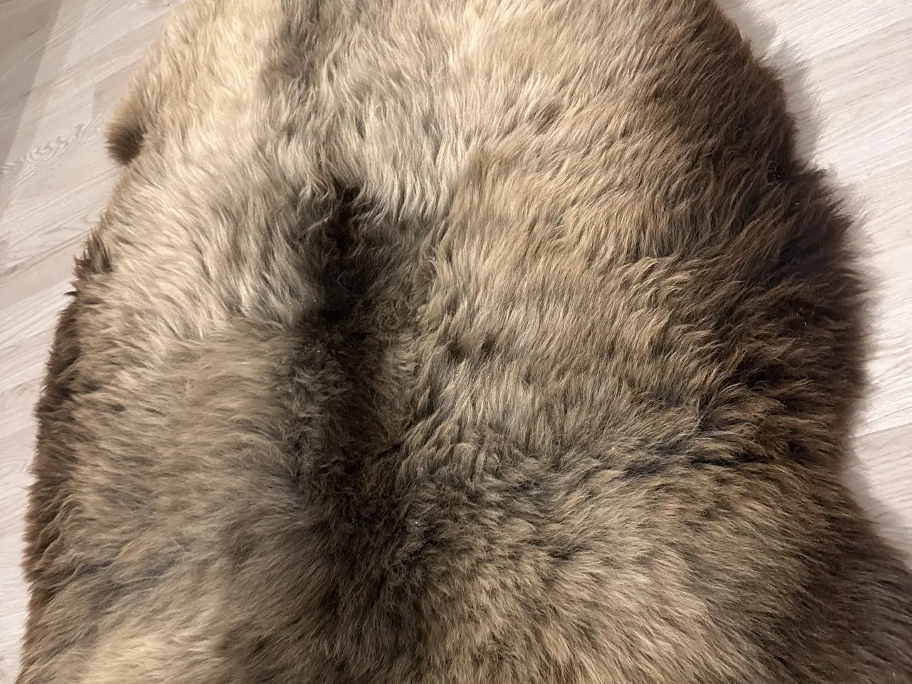 Billede 3 - Helt nyt dansk lammeskind 