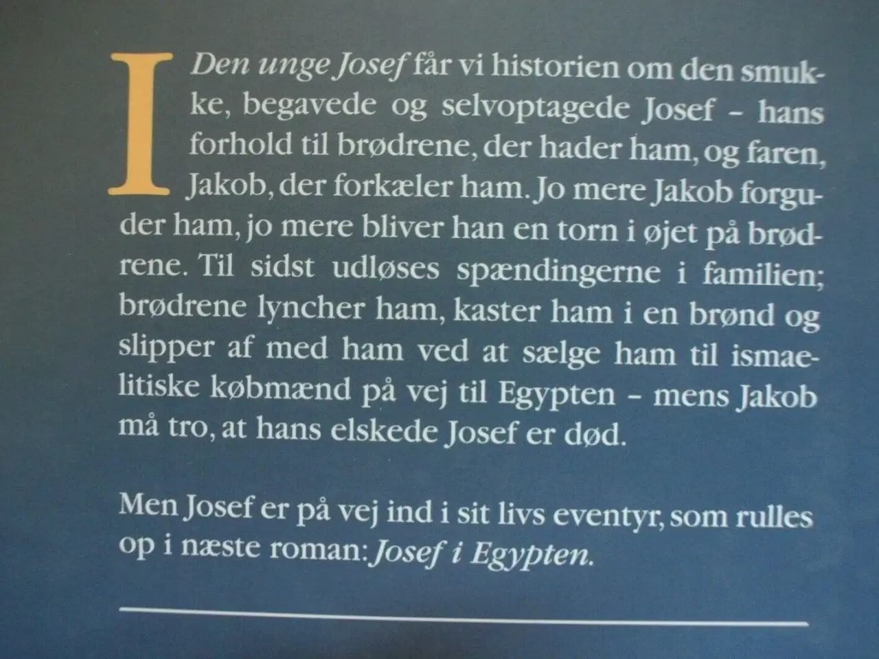 Billede 2 - den unge josef - josef og hans brødre 2, af thomas
