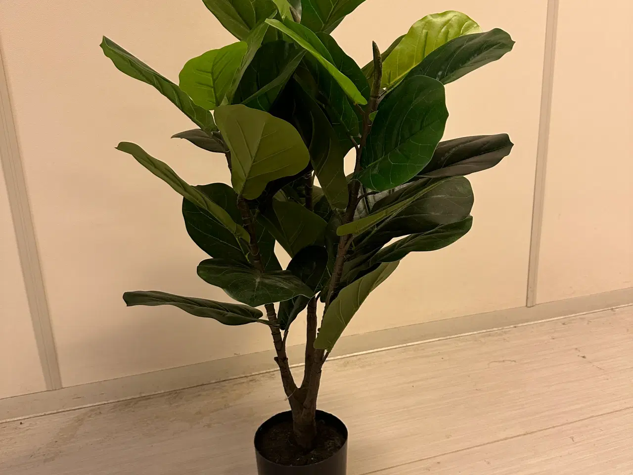 Billede 3 - Kunstig plante Fiddle træ 90 cm. 
