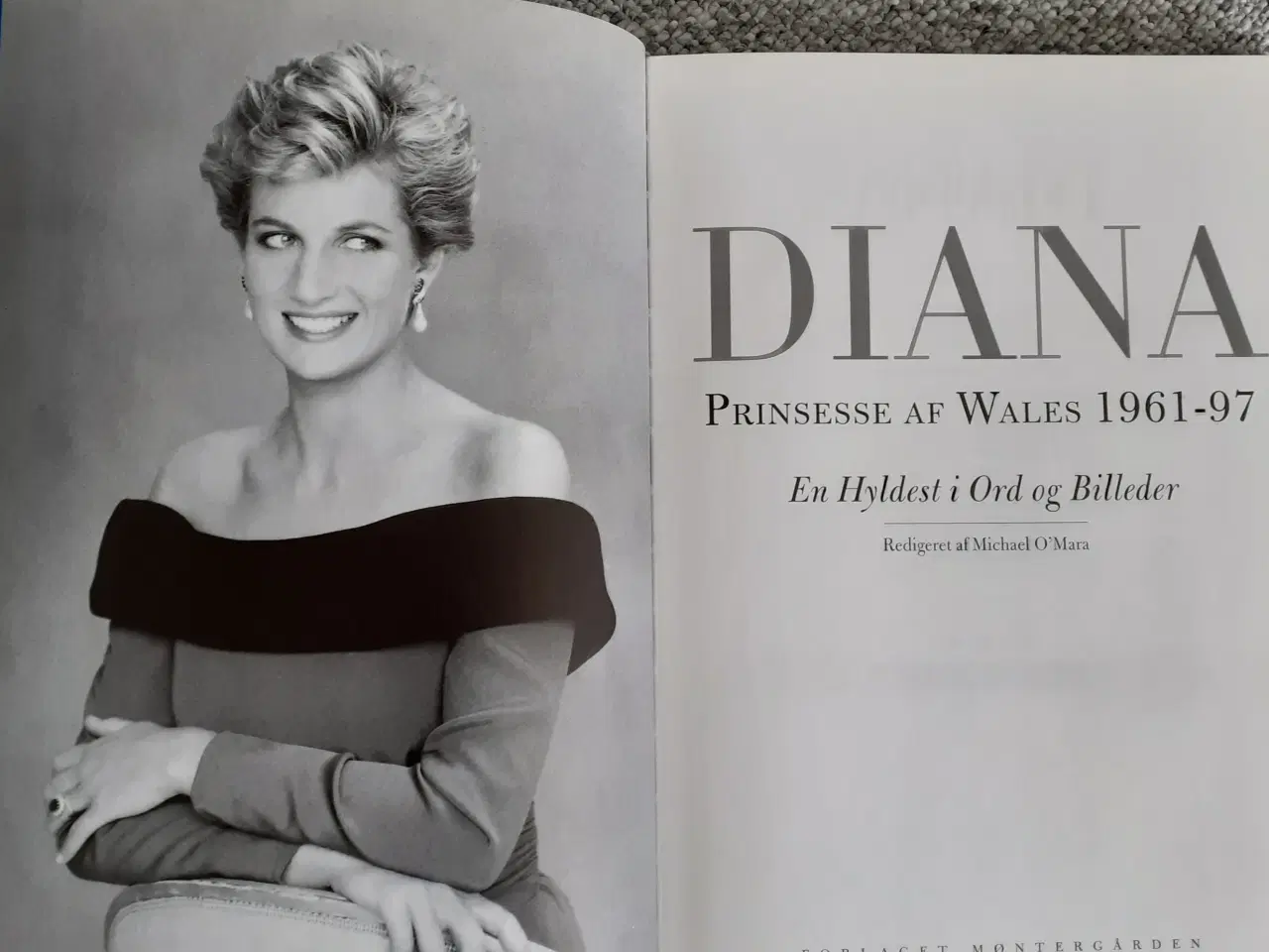 Billede 1 - Diana bog