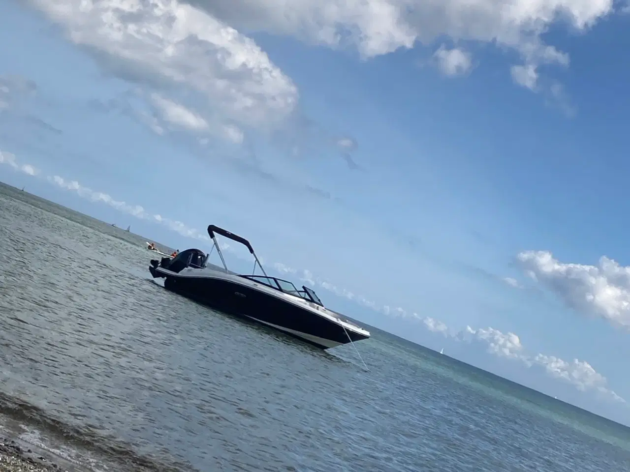 Billede 2 - Sea Ray SPX 190 OB - 2023 | Mercury F150 ELPT | Ku