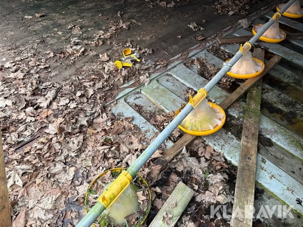 Billede 8 - Fodersystem Landmeco til høns