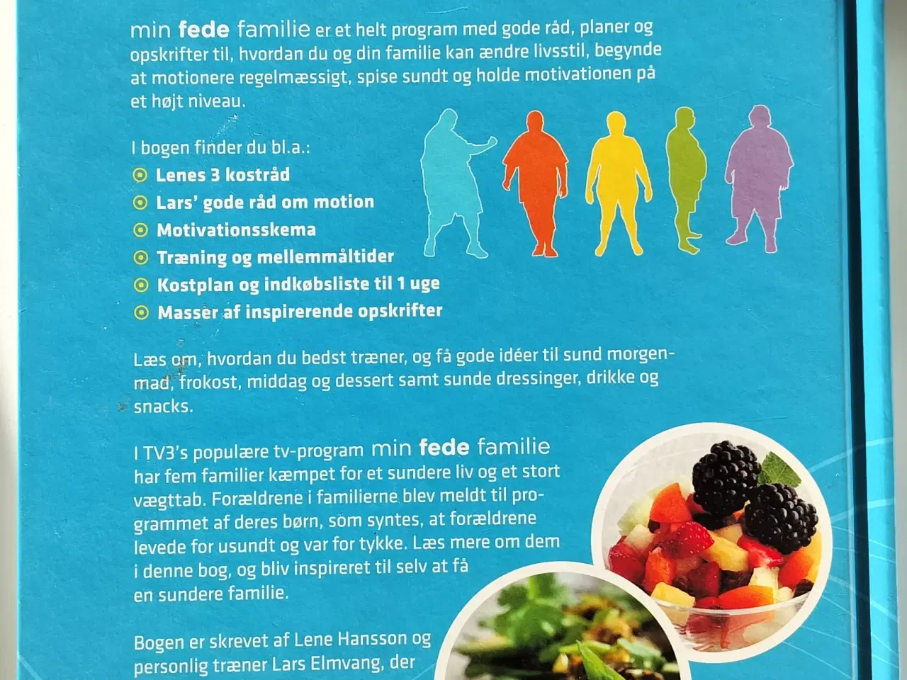 Billede 2 - Lene Hansson bøger