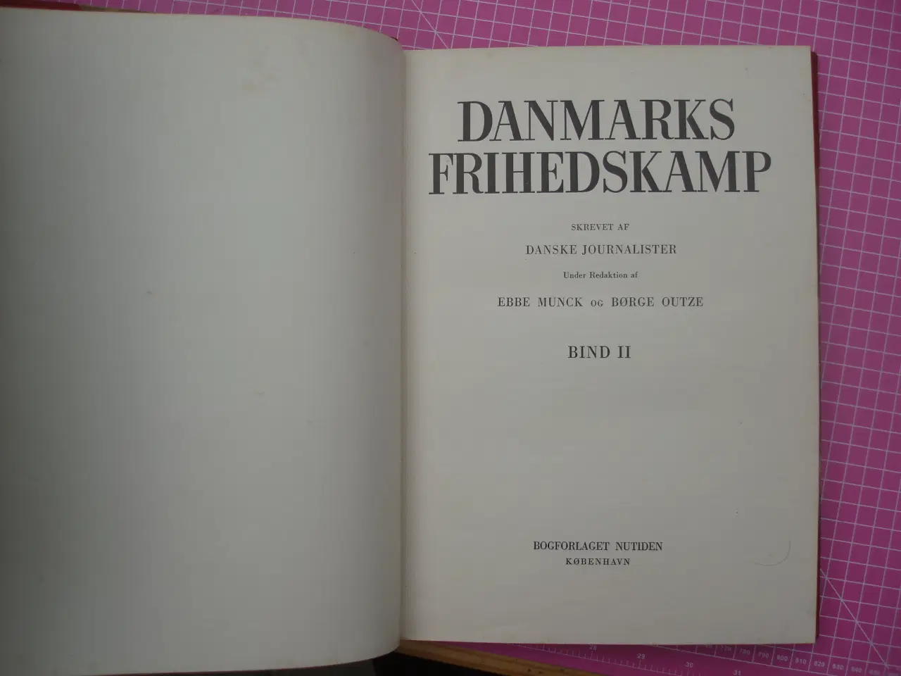 Billede 3 - Krig; Danmarks Frihedskamp