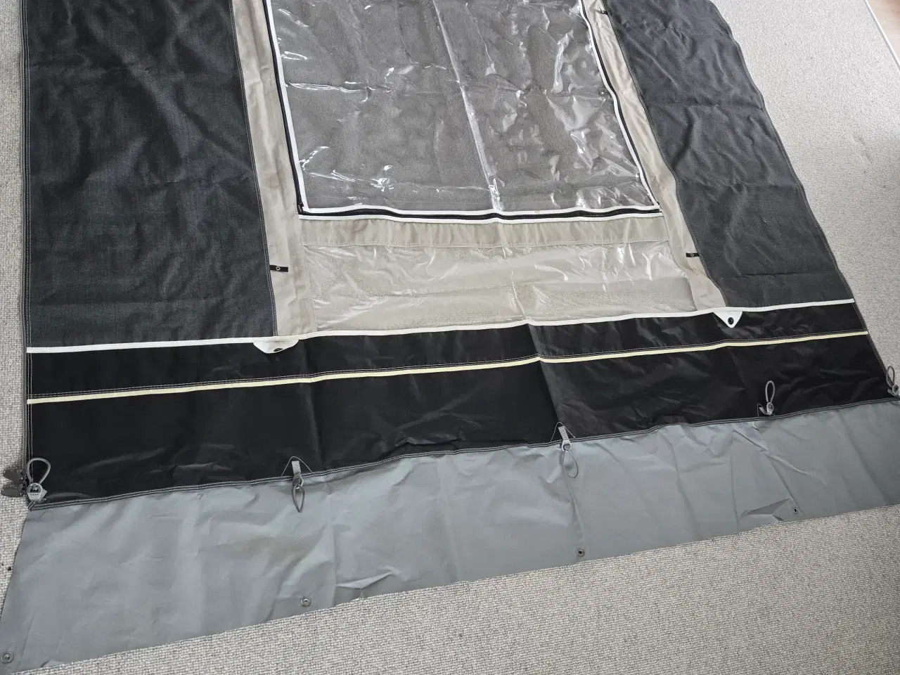 Billede 2 - Isabella commondore seed A925 G16