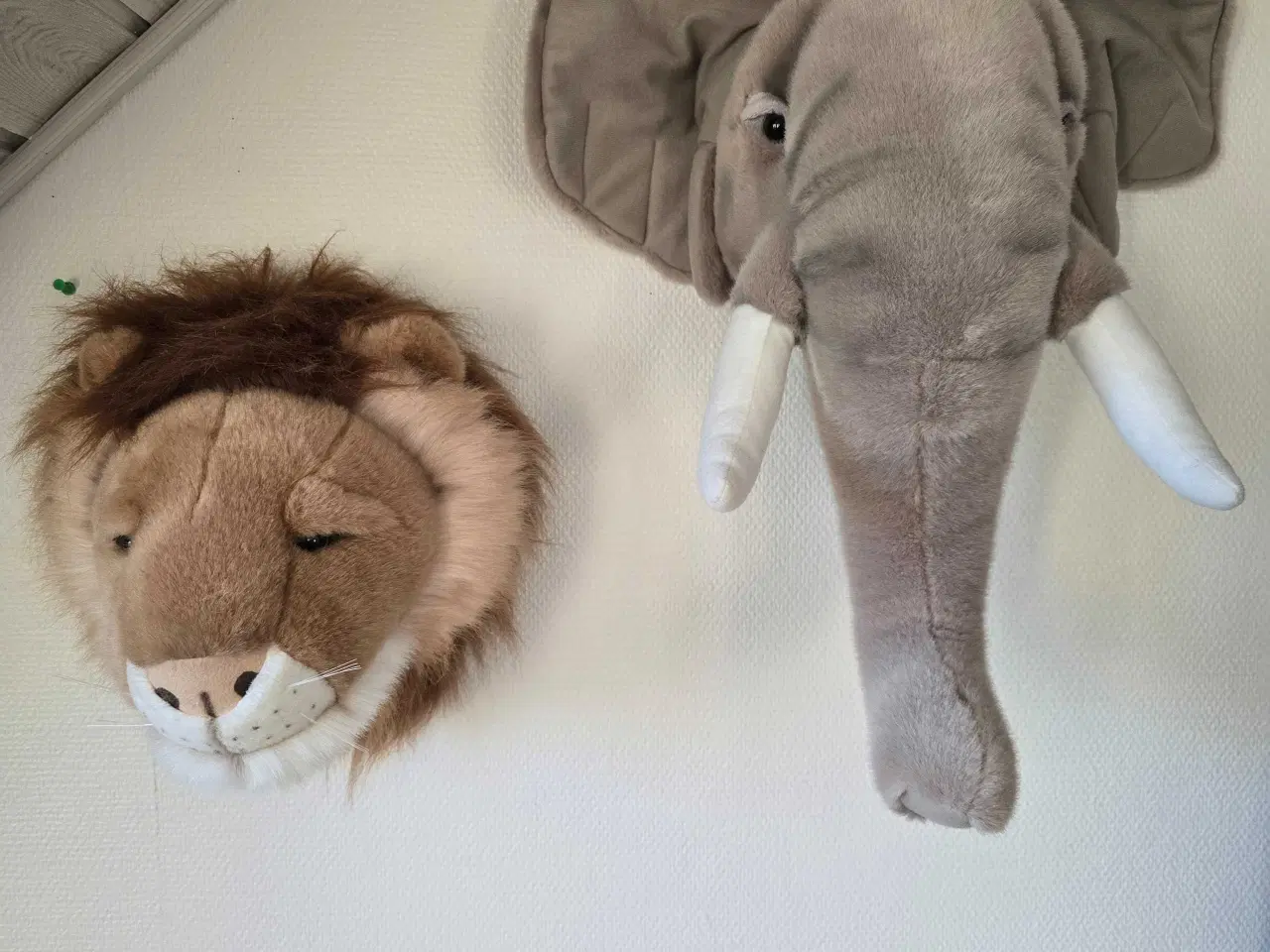 Billede 1 - Elefant og Løve trofæ