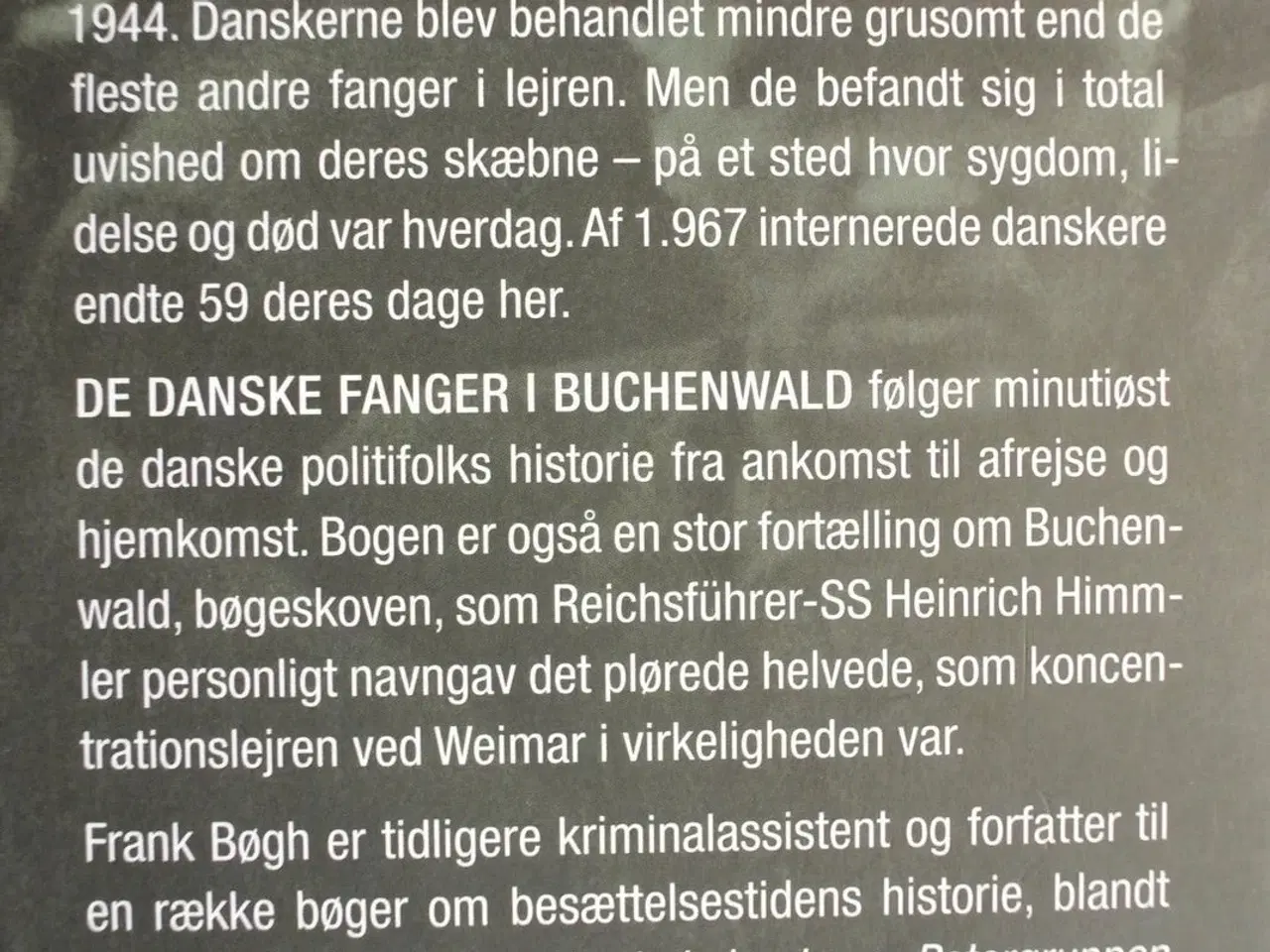 Billede 3 - de danske fanger i buchenwald, af frank bøgh og po