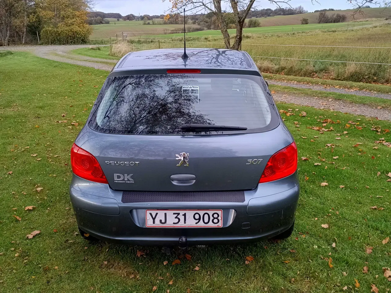 Billede 3 - Peugeot 307 1.6i Benzin