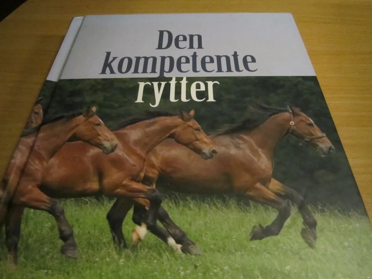 Billede 1 - Heidi Møller. DEN KOMPETENTE RYTTER.