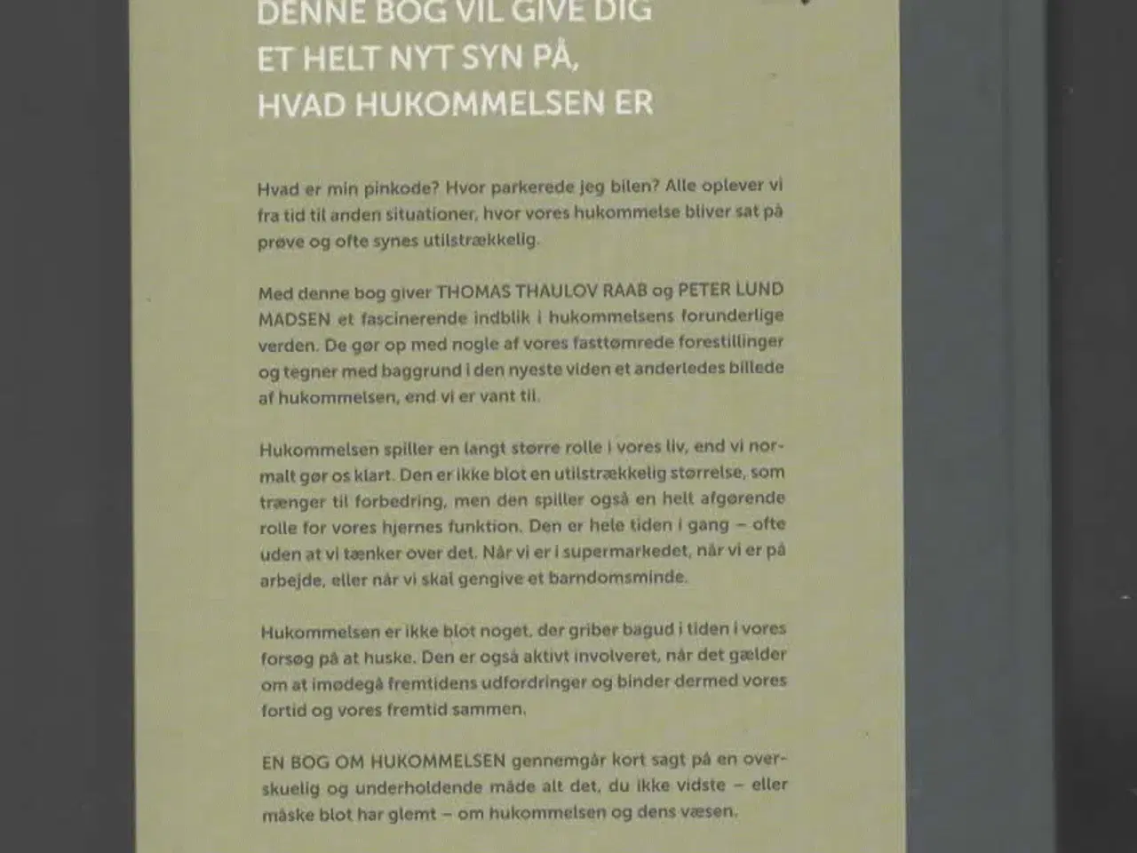 Billede 2 - hukommelse