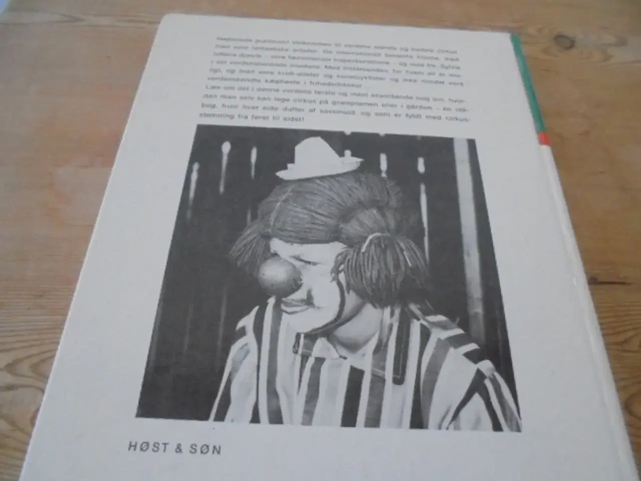 Billede 2 - Vi leger cirkus – Anders Enevig