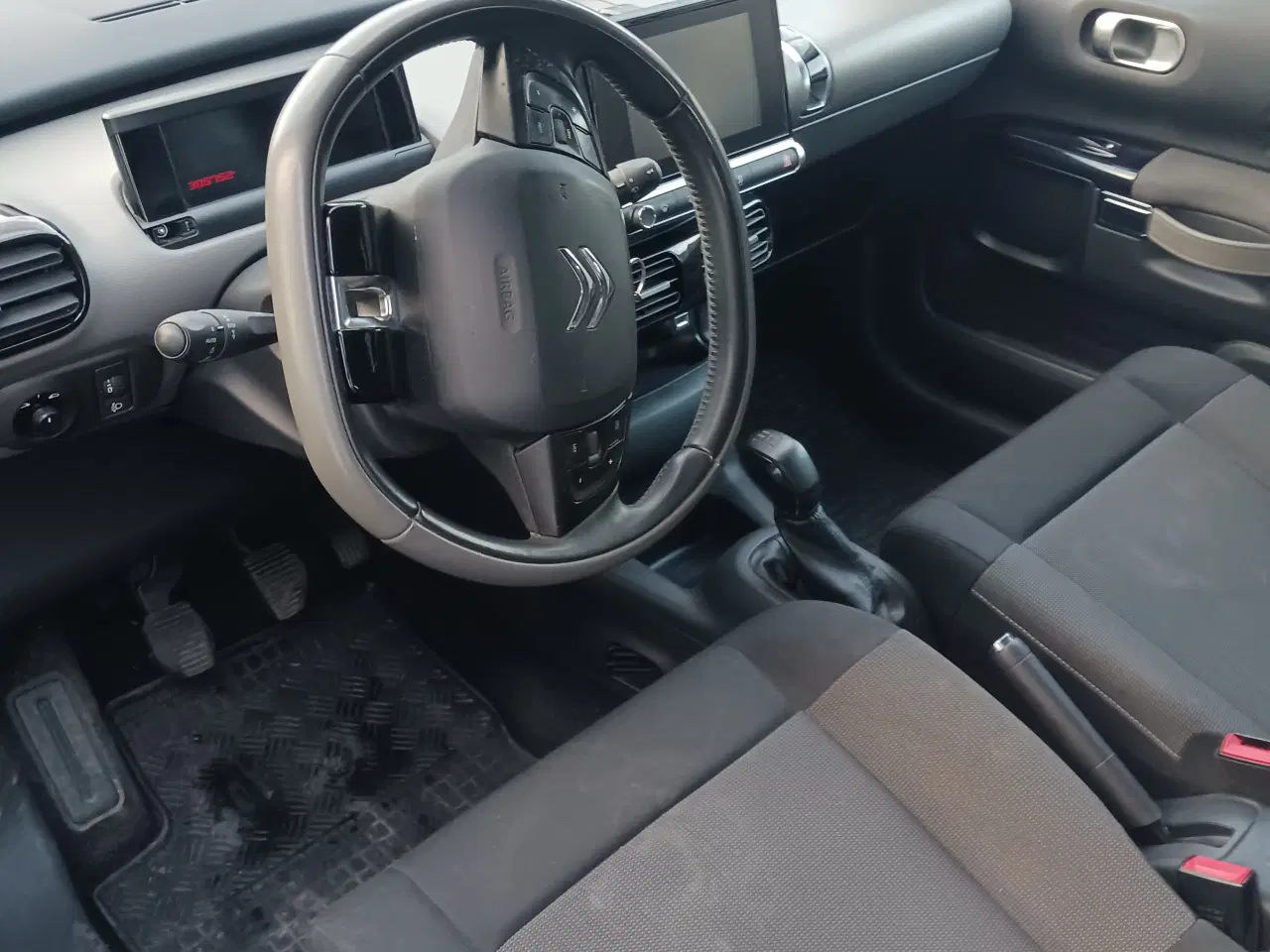 Billede 4 - Fin cactus 