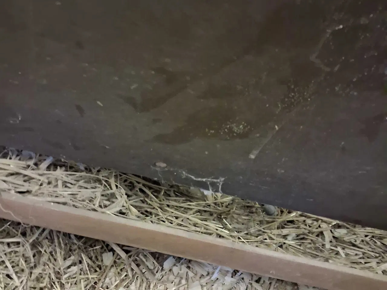 Billede 4 - Foderhæk