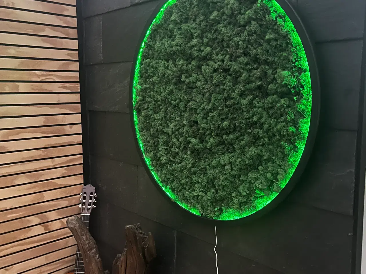 Billede 4 - Mos billede med LED