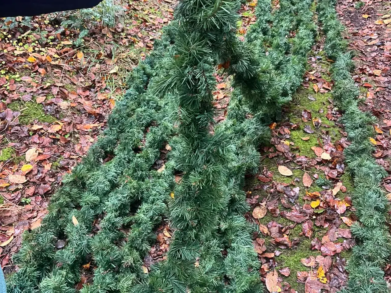 Billede 2 - Granner kunstige guirlander